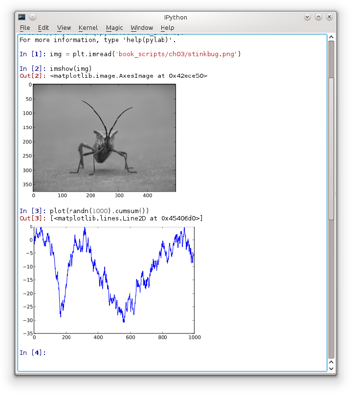 IPython Qt Console