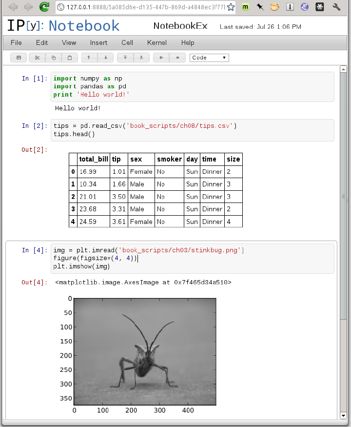 IPython Notebook