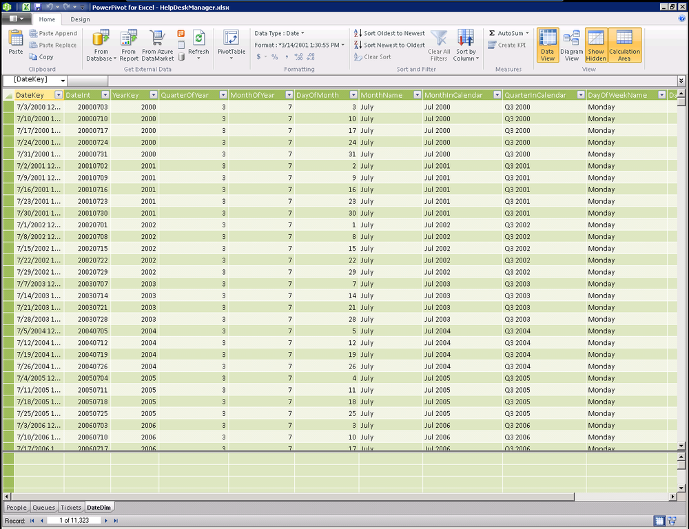 Reviewing the data in PowerPivot