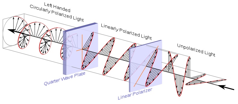 Circular polarization filter (public domain image by Dave3457; )