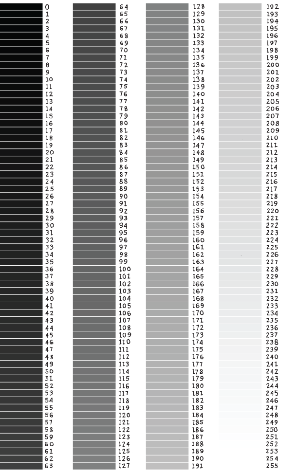 Gray values from 0 to 255.