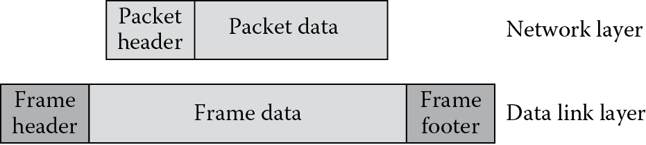 Image of Packet in the network layer