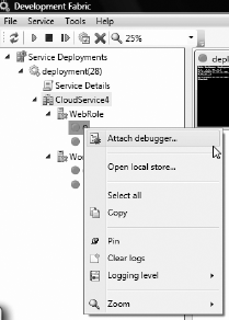 Development fabric's Attach Debugger button