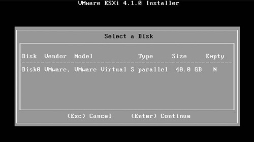 Disks detected by the VMware ESXi installation process.