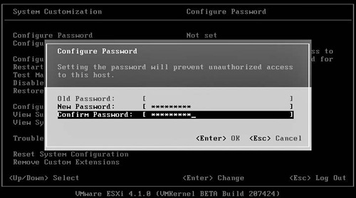 The DCUI Change Password screen.