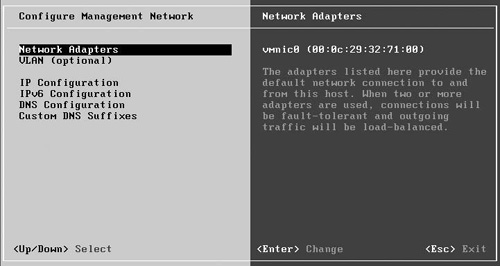 The DCUI Configure Management Network screen.