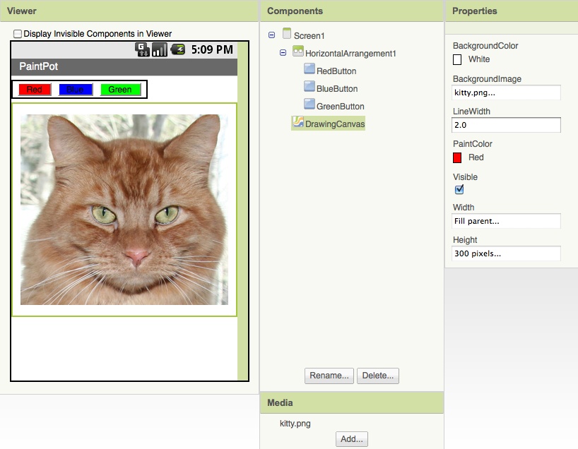 The Canvas component has a BackgroundImage of the kitty picture