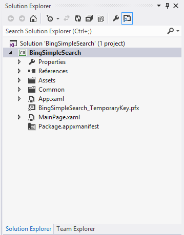 Solution Explorer for New Project