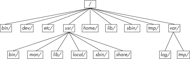 Linux directory hierarchy