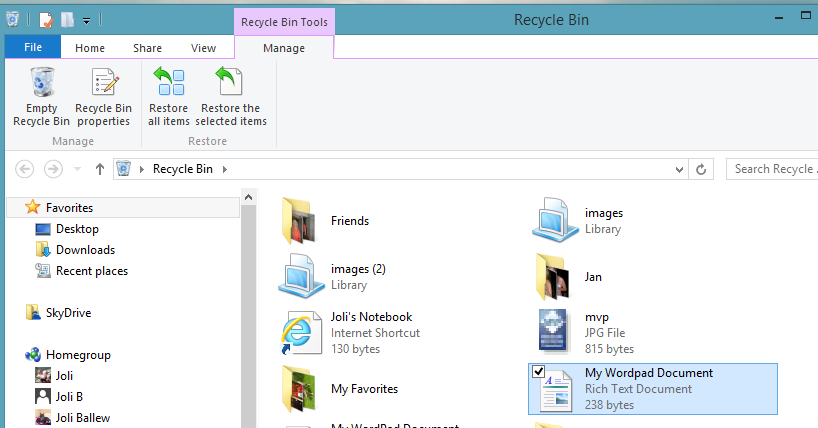 A screen shot of the Recycle Bin.