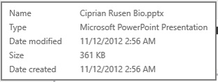 A screen shot of the file information tooltip displayed in the SkyDrive app.