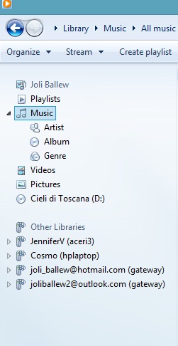 A screen shot of the Windows Media Player Navigation pane.