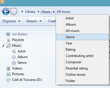 A screen shot of how the dropdown list that allows you to cull what’s shown in any library.