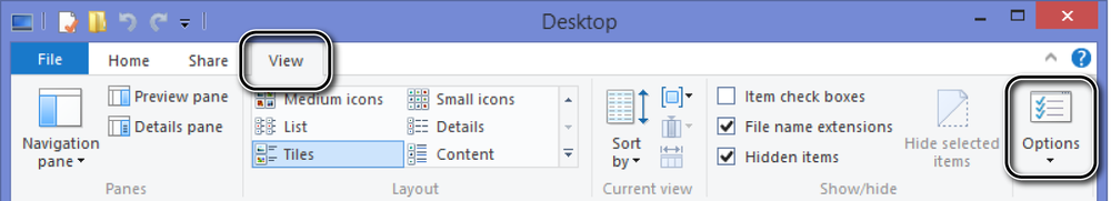 A screen shot of the View tab in File Explorer.