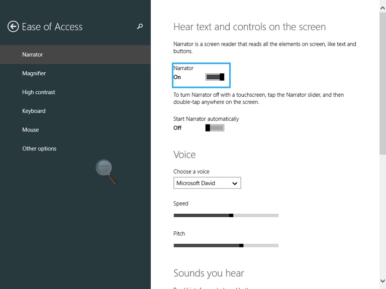 A screen shot of the Ease of Access window, with the Narrator turned on.