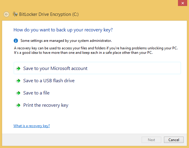 A screen shot of the BitLocker Drive Encryption wizard asking how to back up your recovery key.