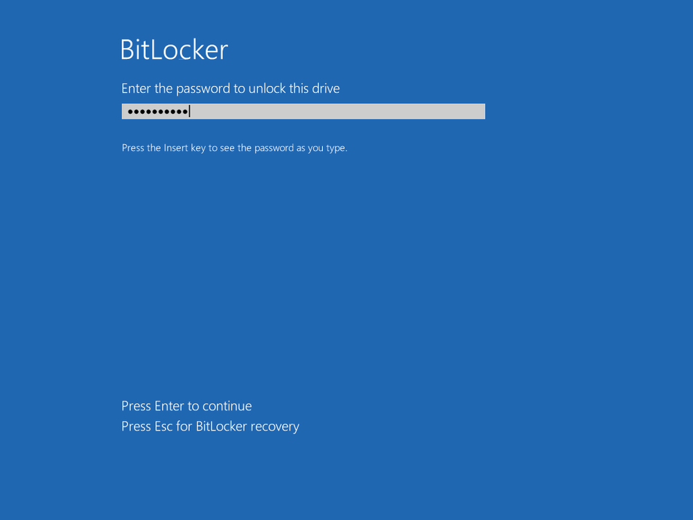 A screen shot of the BitLocker boot prompt asking for the password.