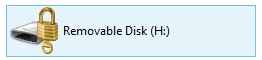 A screen shot of an encrypted removable drive.