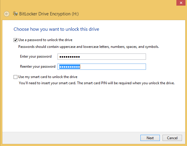 A screen shot of the BitLocker Drive Encryption wizard.