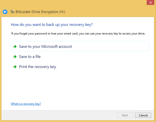 A screen shot of the BitLocker Drive Encryption wizard asking how to back up your recovery key.