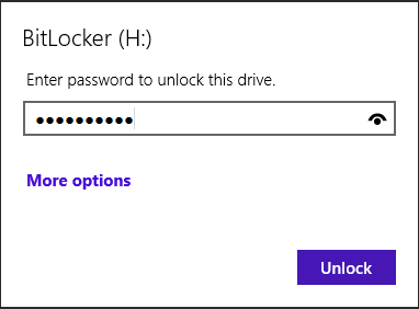 A screen shot of a prompt asking for the BitLocker password.