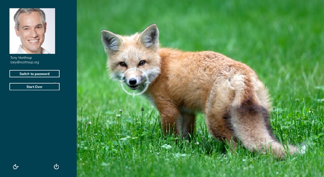 Draw lines, dots, and circles (as shown around the fox’s nose) to log in using a picture password.