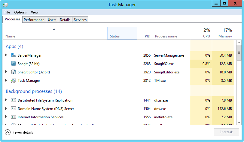 Screen shot of the Processes tab of the Task Manager, showing currently running processes on the server.