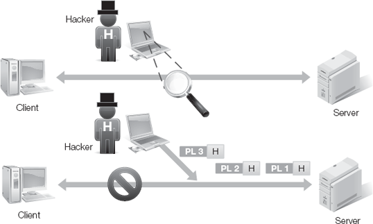 Session hijacking steals a connection from a client.