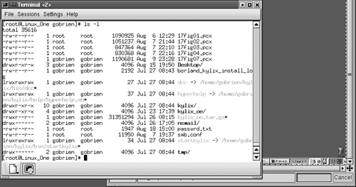 Directory listing in Linux showing the file’s access attributes.