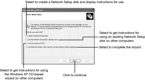 Selecting Network Setup Wizard options.