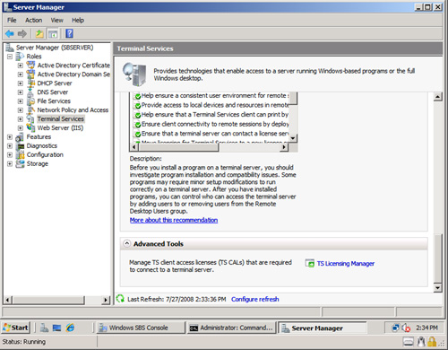 FIGURE 14.21. TS Licensing Manager under Advanced Tools.