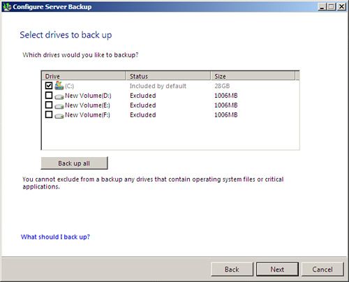 FIGURE 18.3. Select drives to back up.