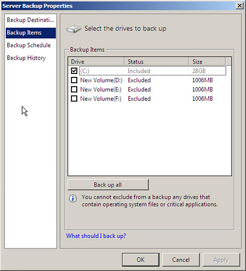 FIGURE 18.6. Select drives to be backed up.