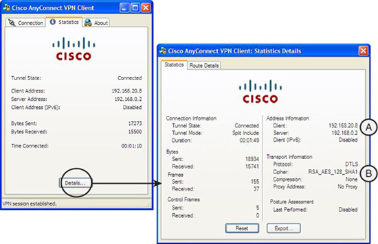 Parameters obtained from VPN server by AnyConnect SSL VPN client.