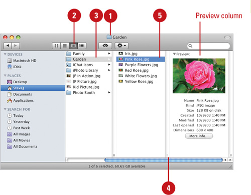 View Folders in Column View