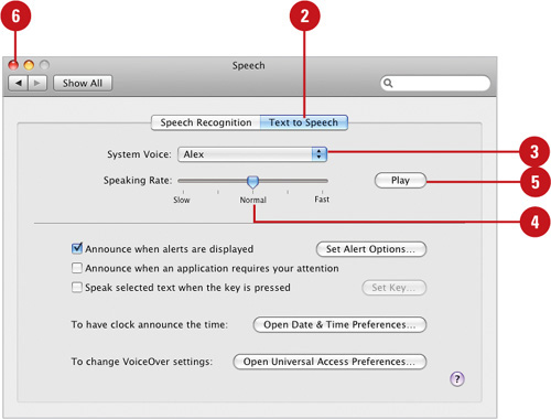 Set the Default Speaking Voice