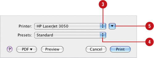 Set Basic Print Options