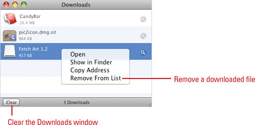 Remove a downloaded file.