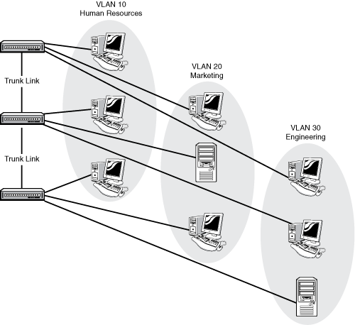 VLANs over trunk links allows a logical grouping of users by function.