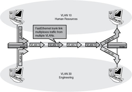 Trunks carry traffic from multiple VLANs across a single physical link.