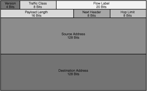 The IPv6 header.