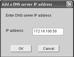 Add a DNS server IP address window.