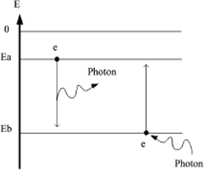 Figure 1.3