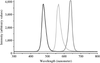 Figure 8.6