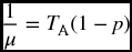 numbered Display Equation