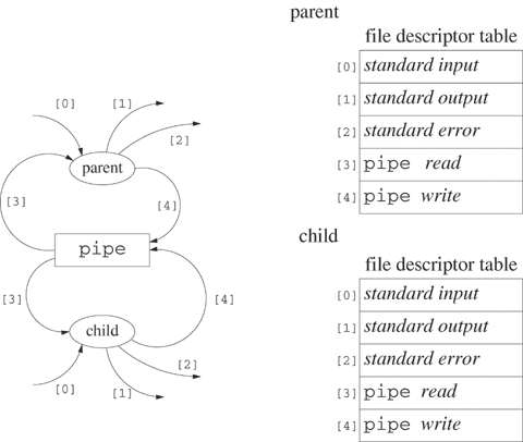 Status of the file descriptor table after the fork in Program 6.3.