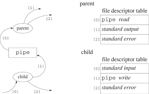 Status of the file descriptor table after all close calls of Program 6.3.