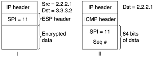 PMTU discovery packet format.