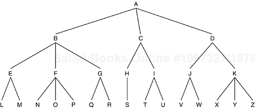 The Hierarchical Tree.