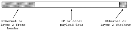 An Ethernet or Layer 2 Frame.